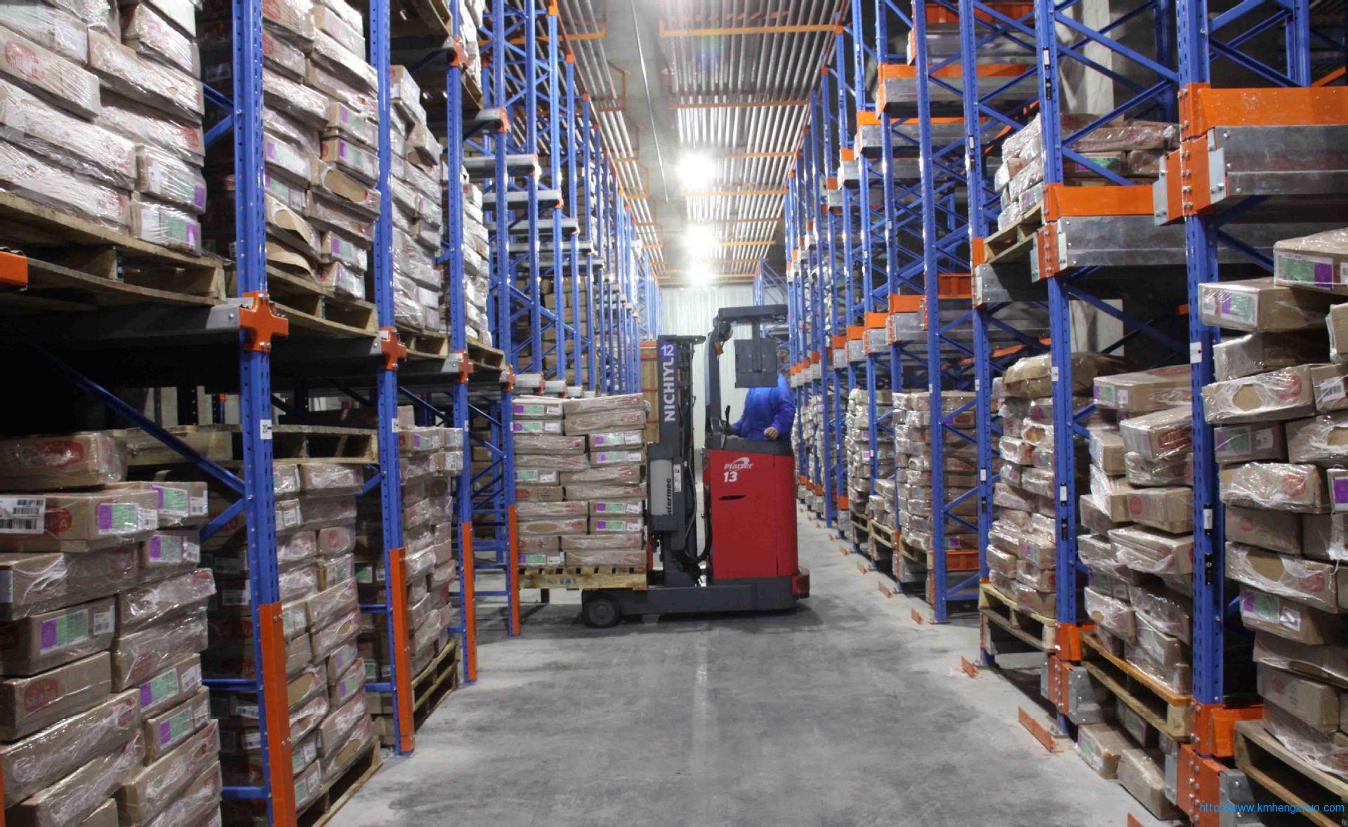 HZ-798型通廊式货架 通廊式仓库货架应用案例