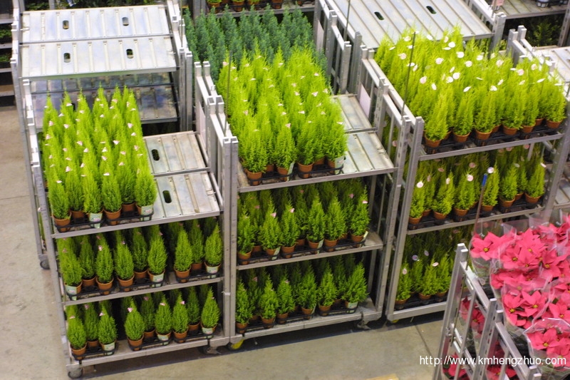 HZ-558型花车货架