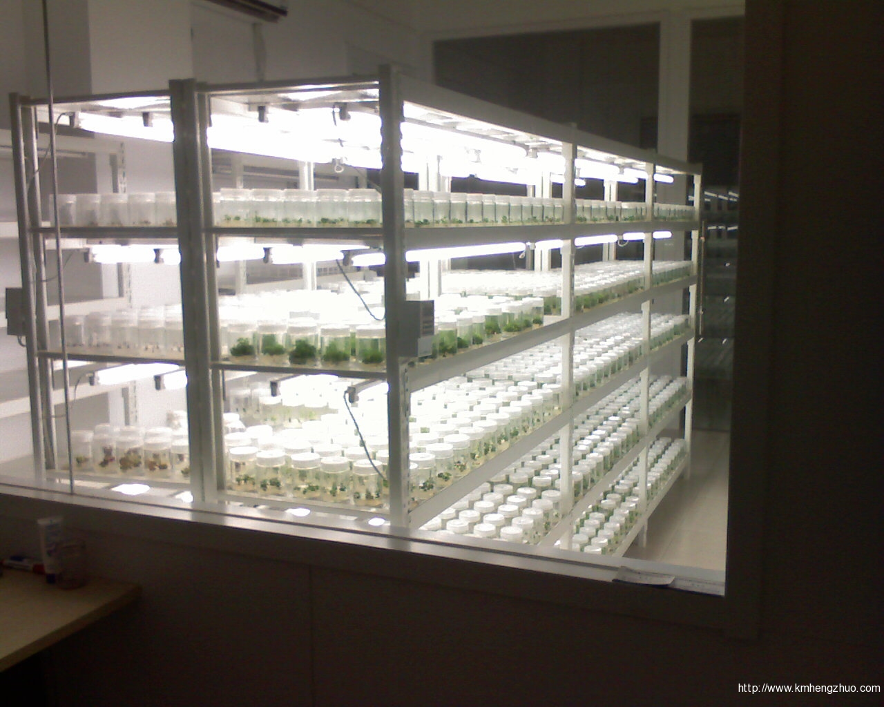 HZ-558型花车货架